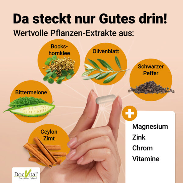 Blutzucker Komplex – Bild 4