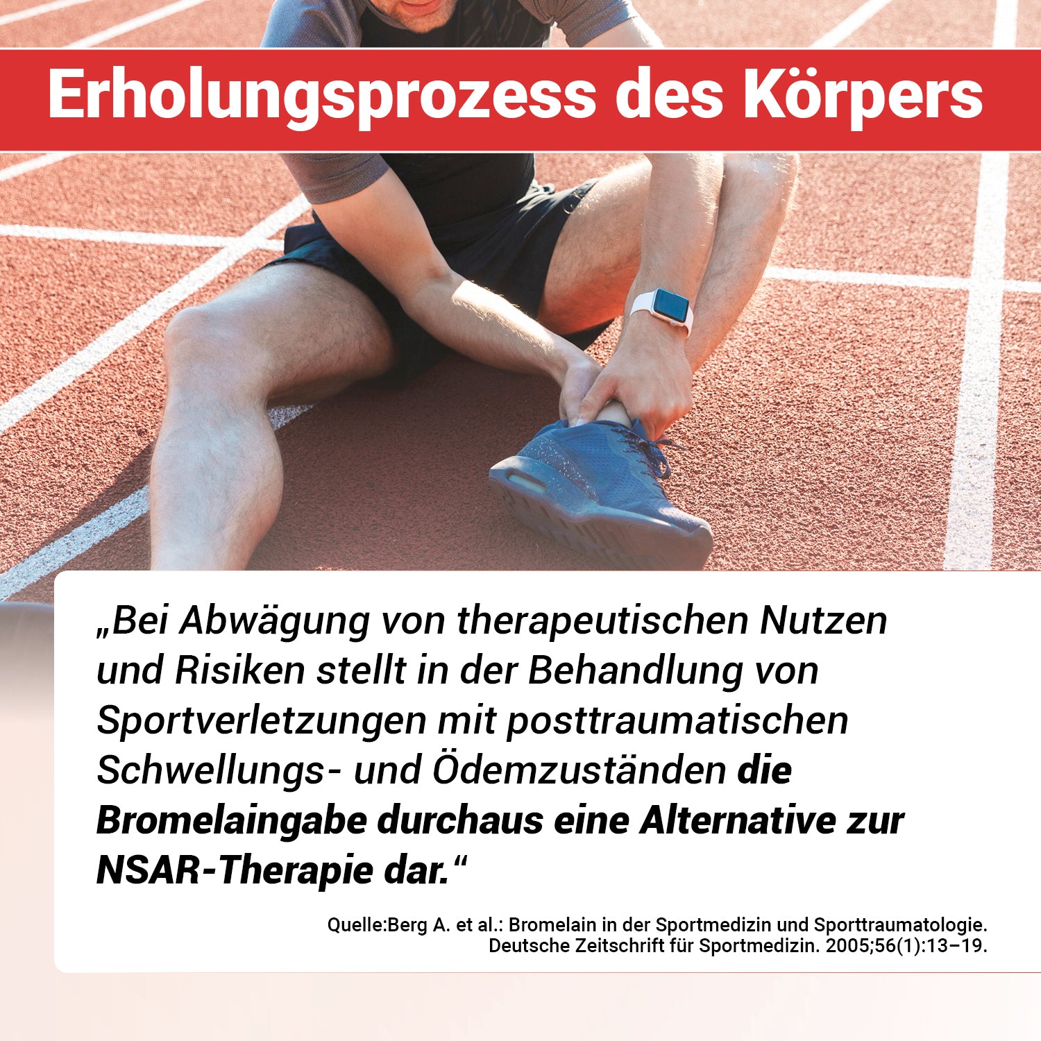 Enzym Komplex
