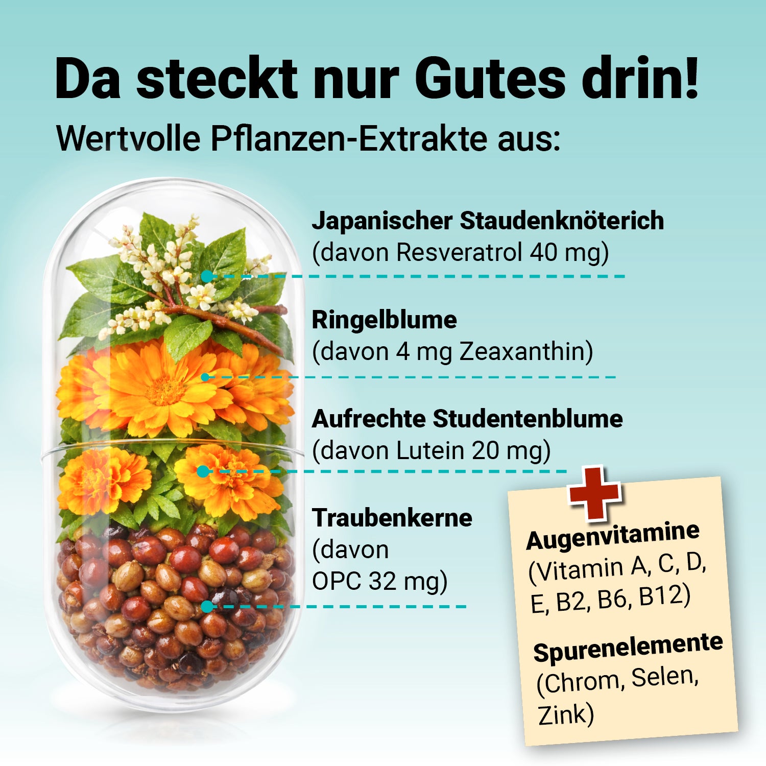 Augenstark Vital Komplex