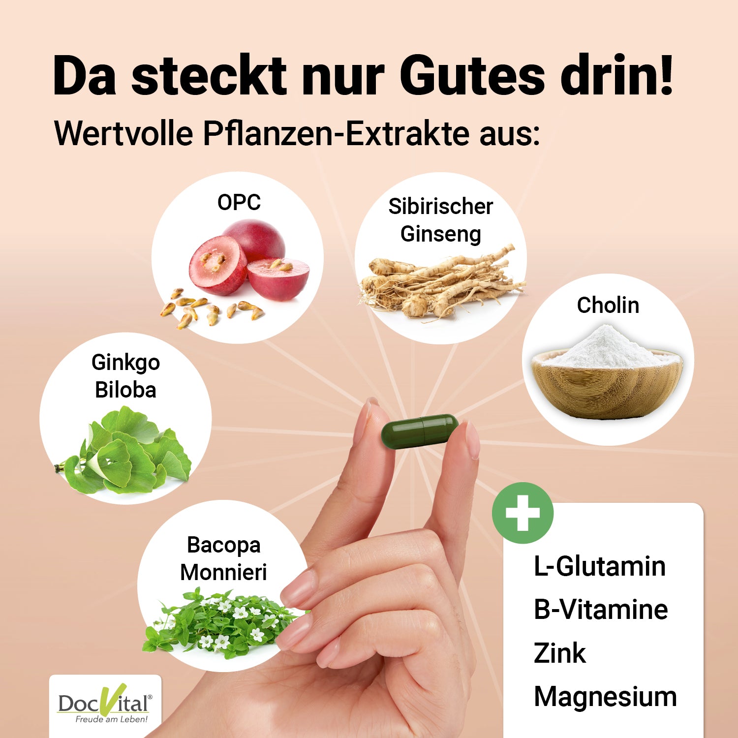 Gehirn Vital Komplex