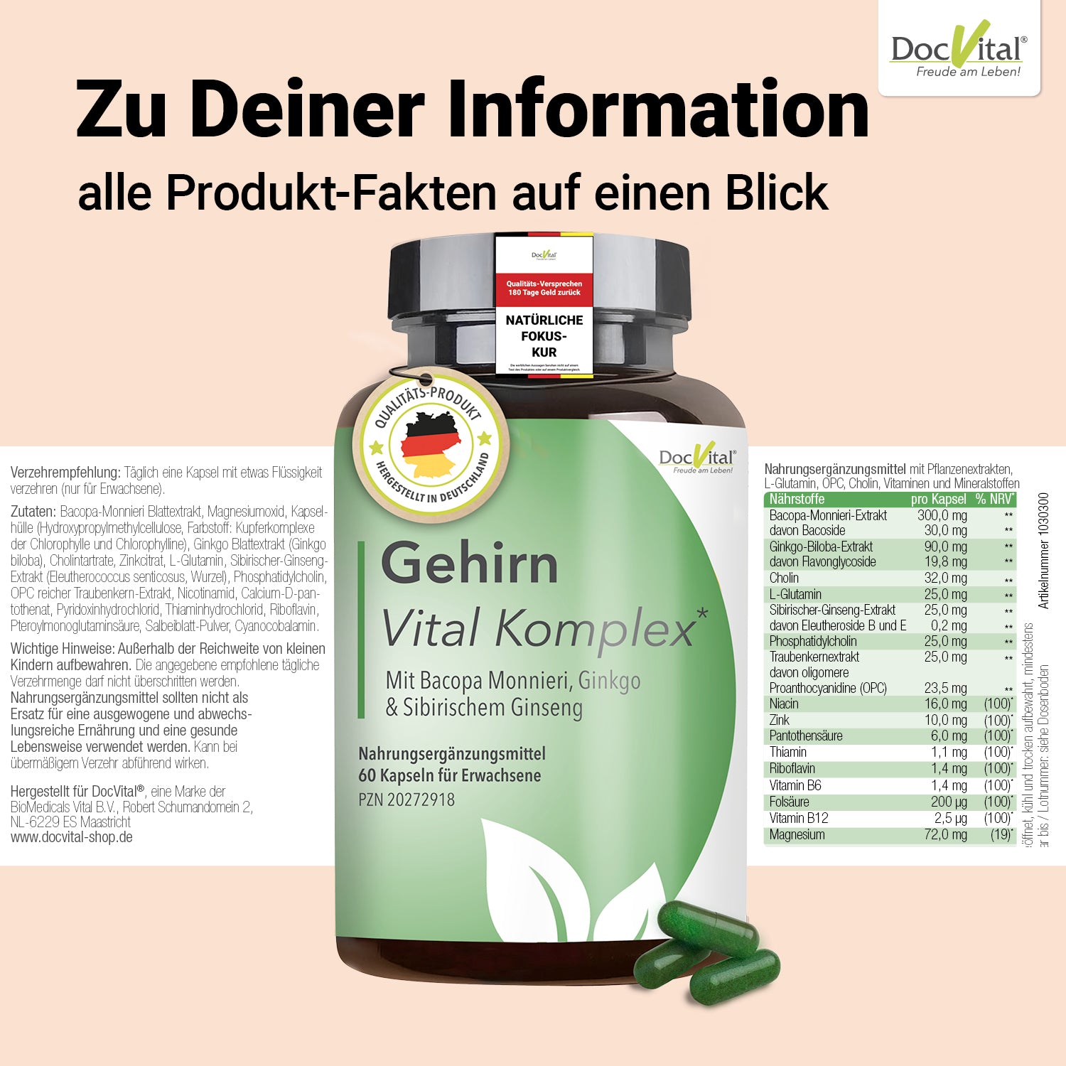 Gehirn Vital Komplex