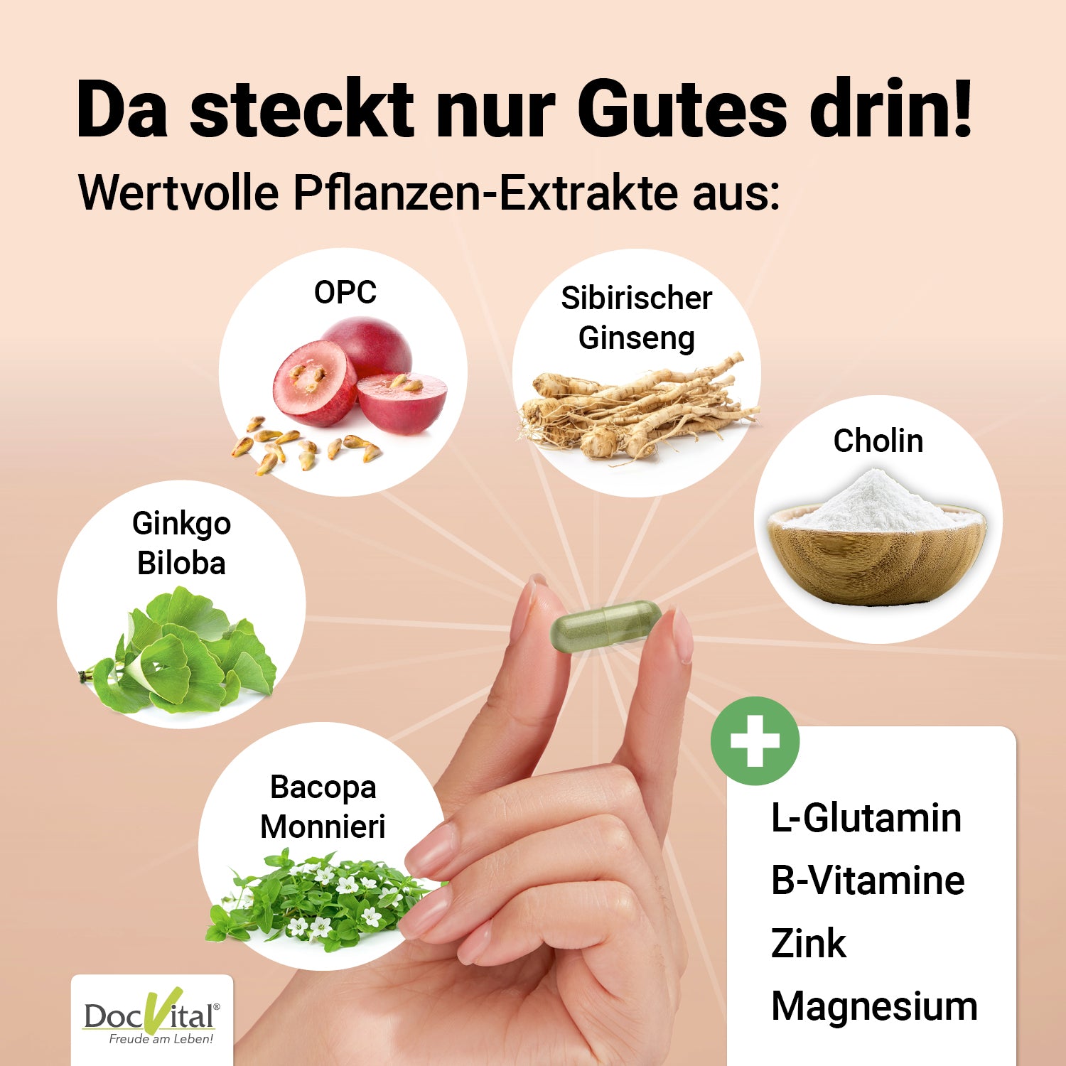 Gehirn Vital Komplex