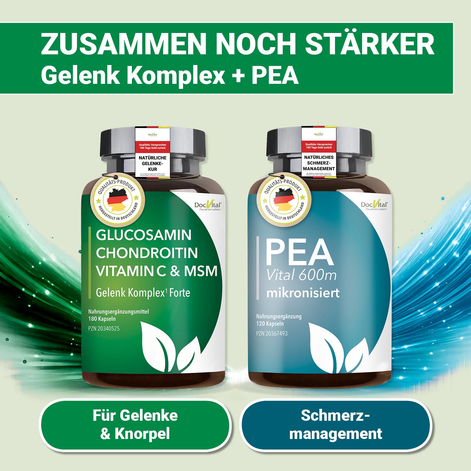 Gelenk Komplex