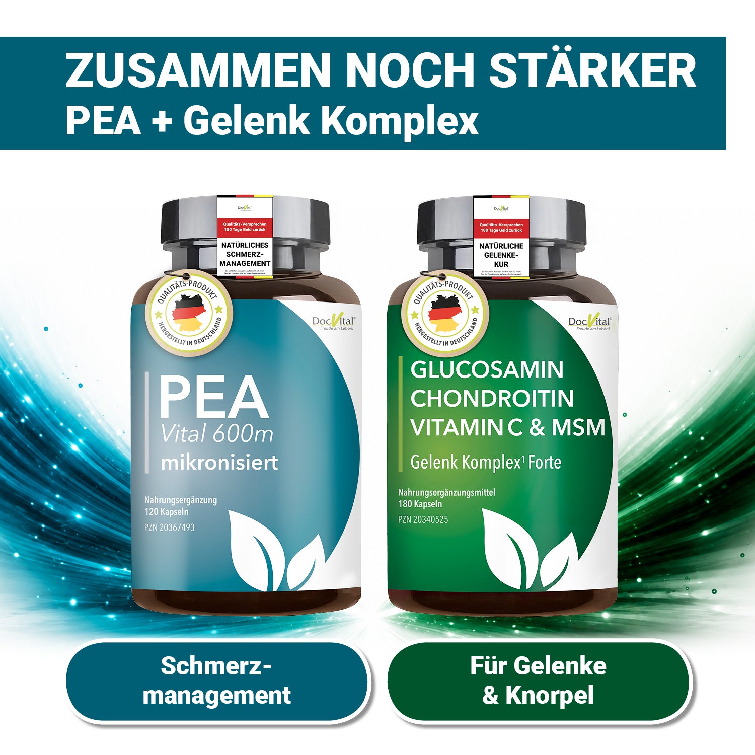 PEA Vital 600 mikronisiert