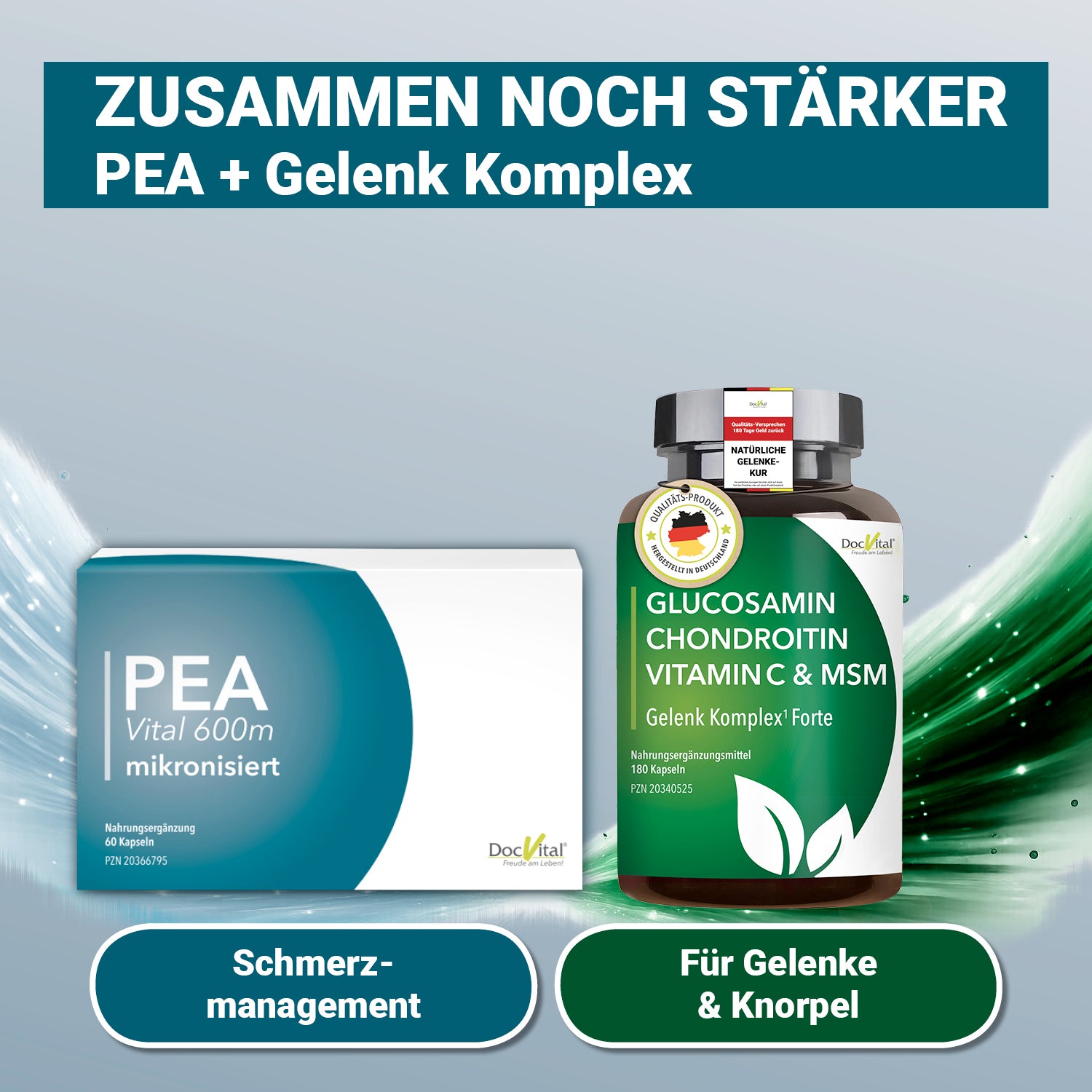 PEA Vital 600 mikronisiert
