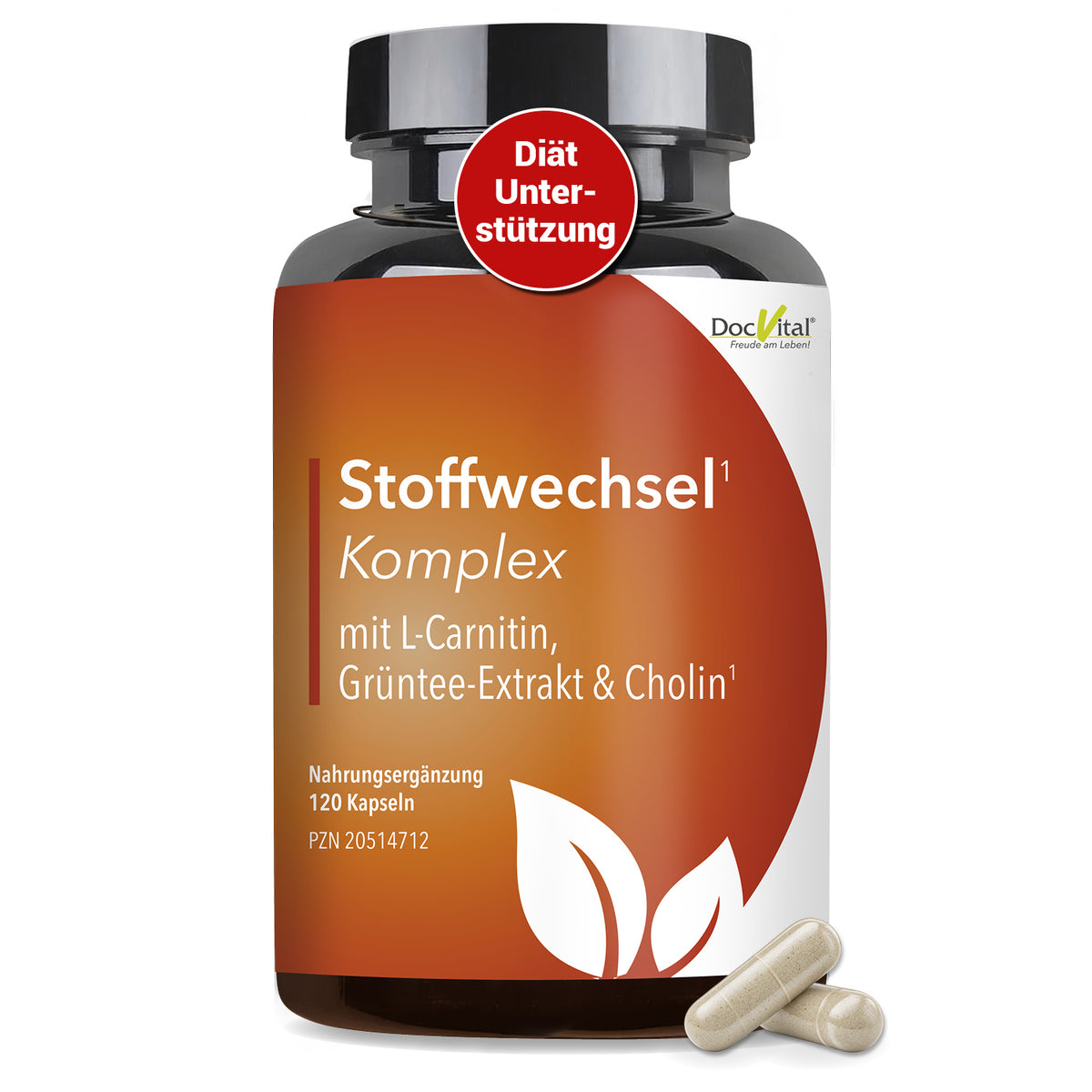 DocVital Stoffwechsel Komplex - Dose mit L-Carnitin, Gruentee-Extrakt und Cholin (120 Kapseln), zur Unterstuetzung deiner Diaet