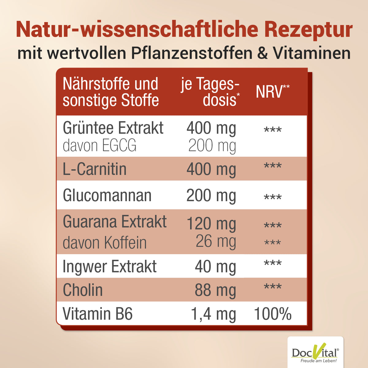 DocVital Stoffwechsel Komplex - Natur-wissenschaftliche Rezeptur: Gruentee-Extrakt, L-Carnitin, Glucomannan, Guarana, Ingwer, Cholin und Vitamin B6