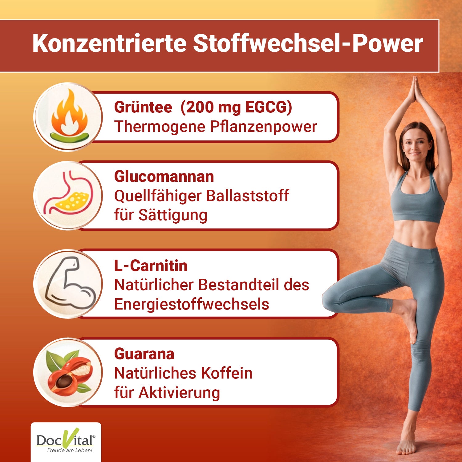 Stoffwechsel Komplex