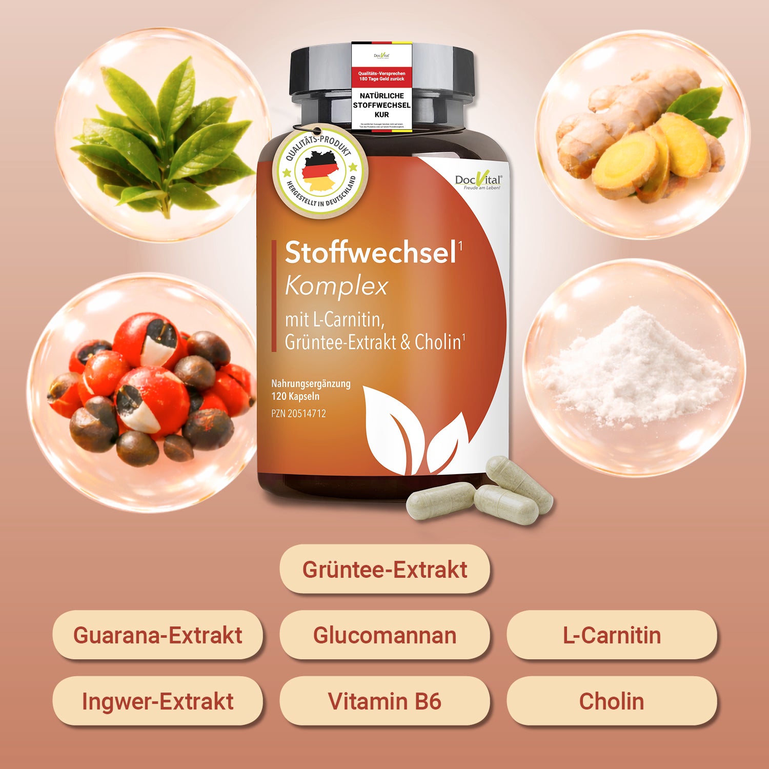 Stoffwechsel Komplex