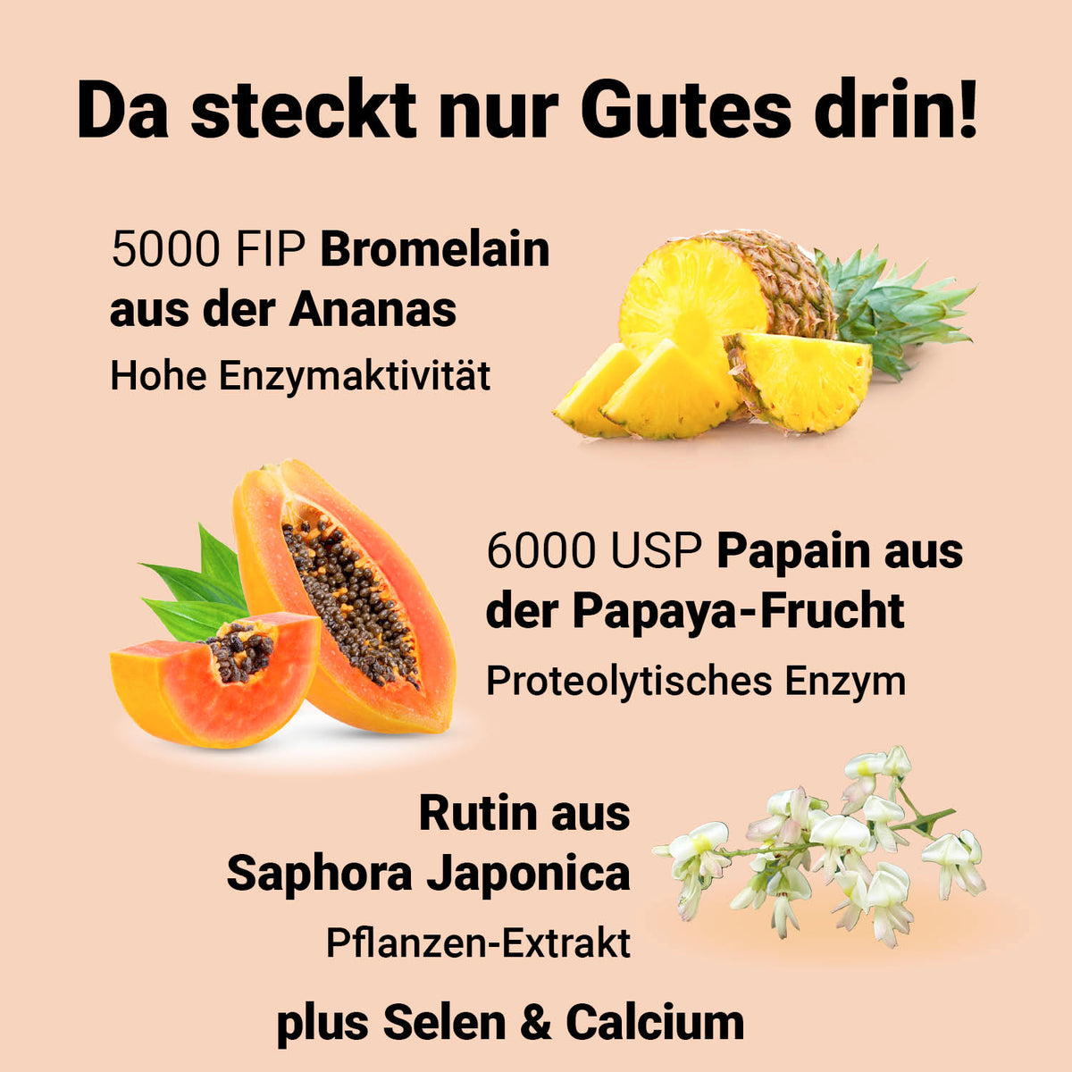 Verdauungsenzym Komplex