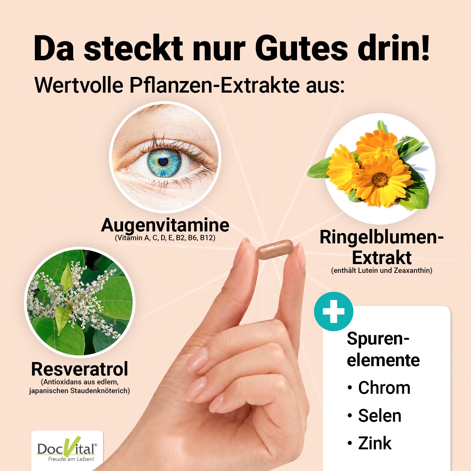 Augenstark Vital Komplex