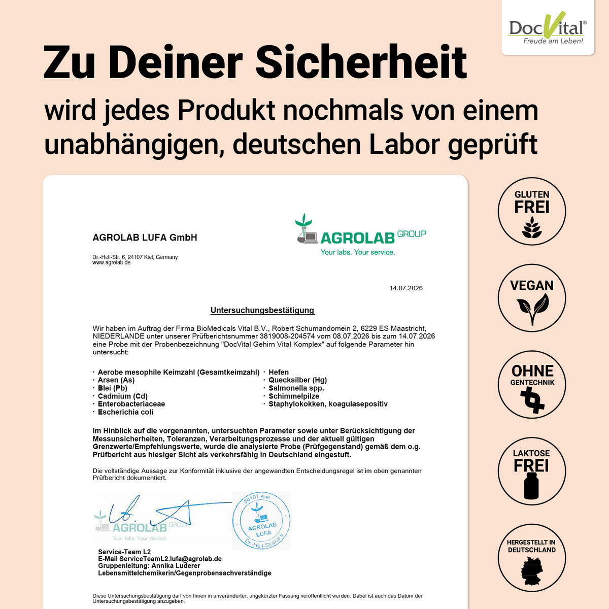 Gehirn Vital Komplex Laborbericht